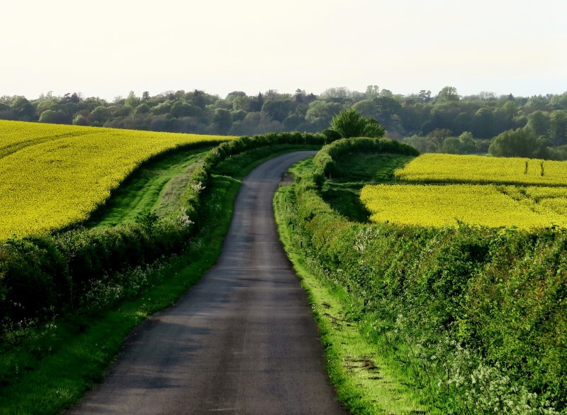 Sustainable road