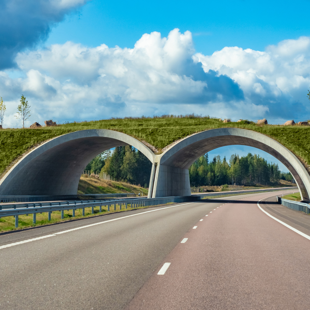 NTMB-zorgsysteem - begroeiing op viaduct