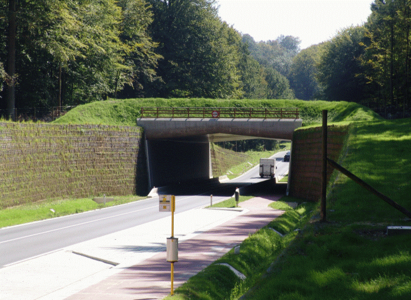 ecoduct