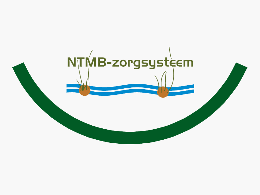 NTMB logo