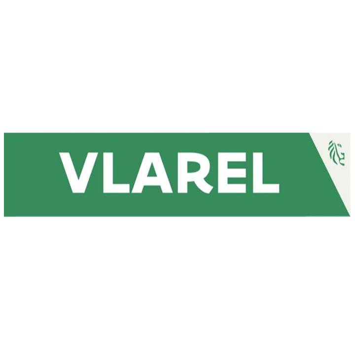 VLAREL-PNG-LOGO-C