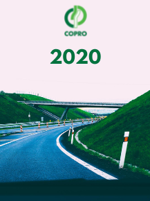 Visierapport 2020